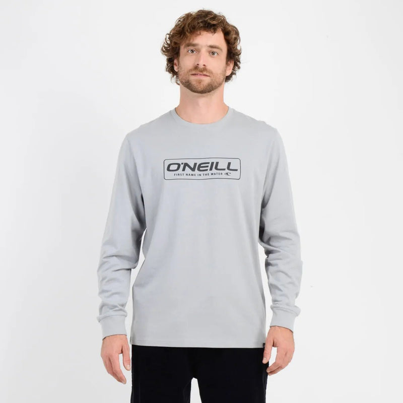 Polera manga larga bruce gris claro
